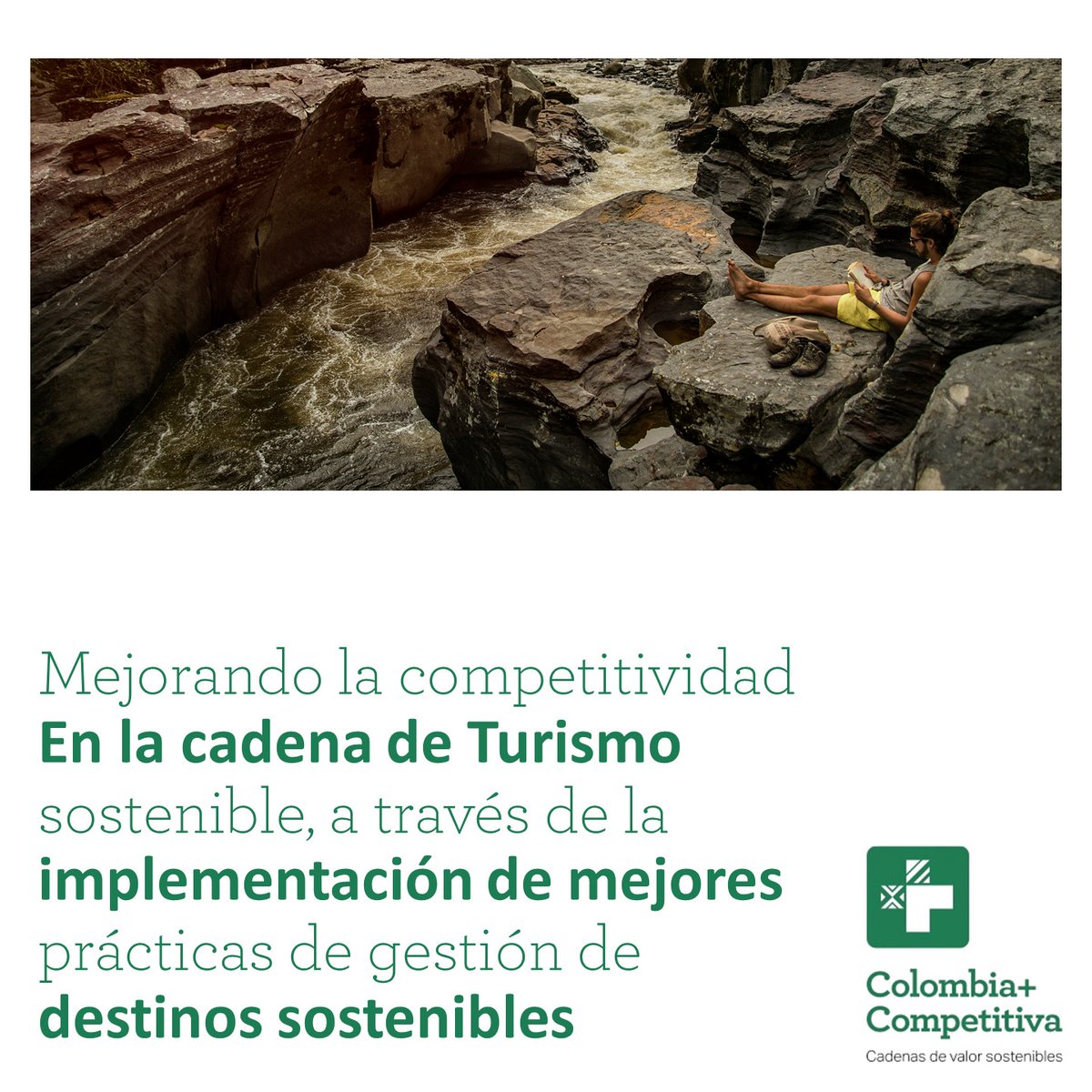 Colombia Más Competitiva tweet media