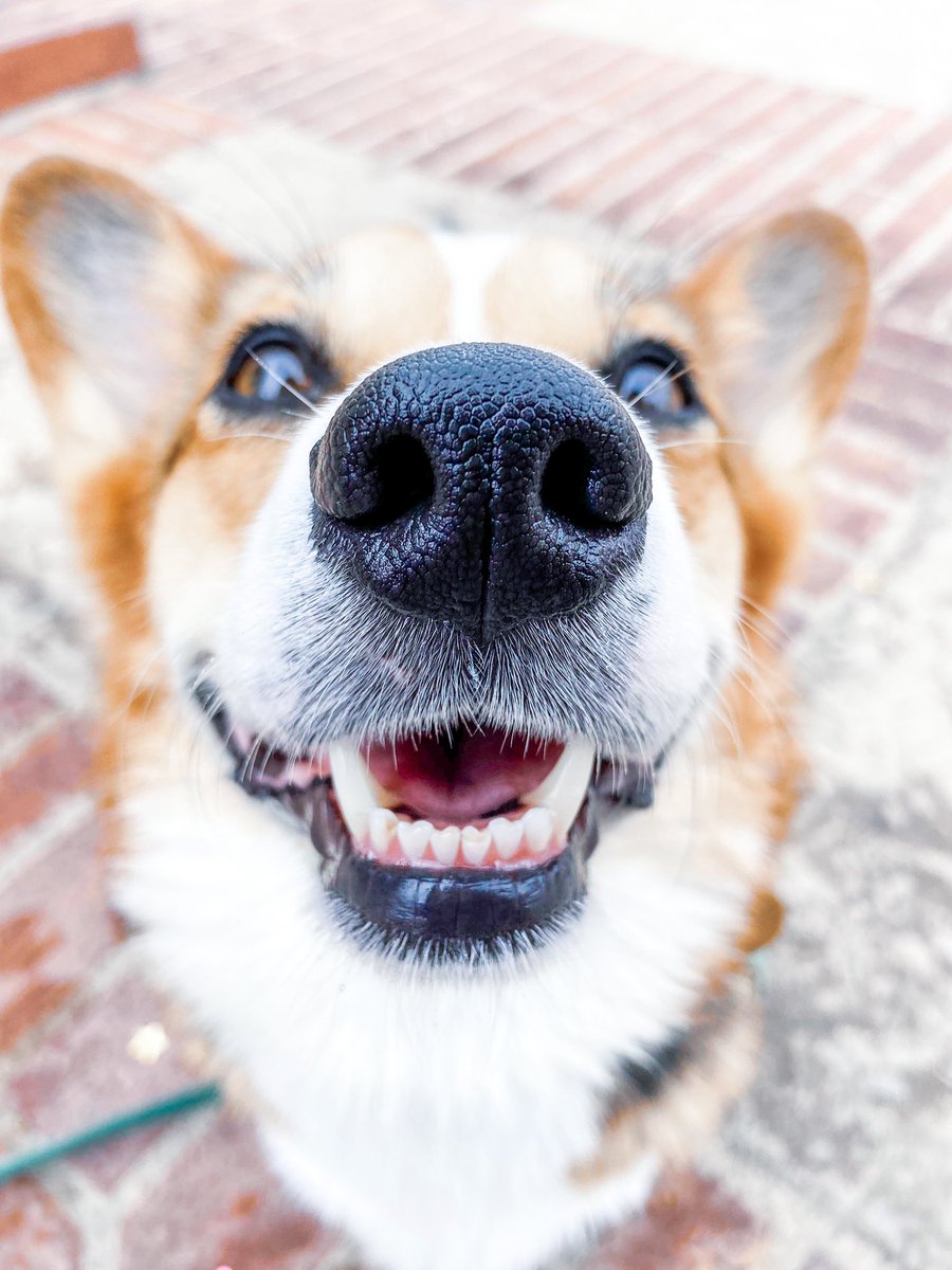 PAVGOD's tweet photo. boop It and pass it https://t.co/JJsQfXoCXK