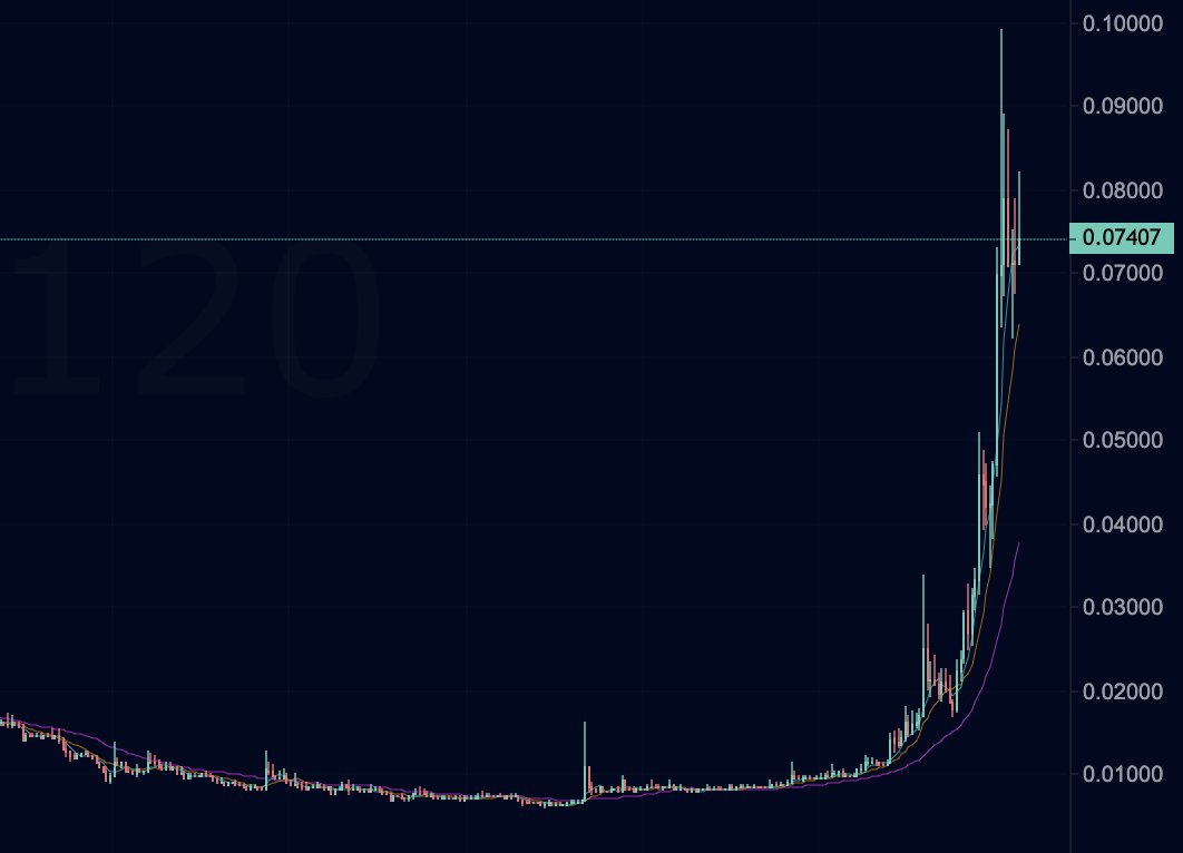 That Martini Guy ₿ tweet media