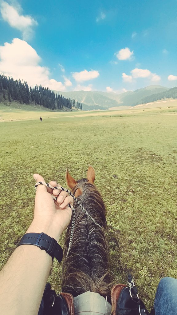 FarhanMearaj's tweet photo. Bungus valley: one of the pristine meadow present in the North circle of Kashmir valley. The place is truly heaven for nature lovers and trekkers. Full of medicinal plants and gorgeous flowers!
#Bungus https://t.co/Siq6Mh7RGs