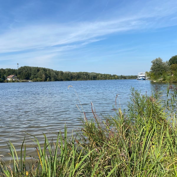 austria63amy's tweet photo. A beautiful place to go swimming and very close to the gates of #ViennART ~ I love being there!
#Greiffenstein https://t.co/mFILY9Qwnt