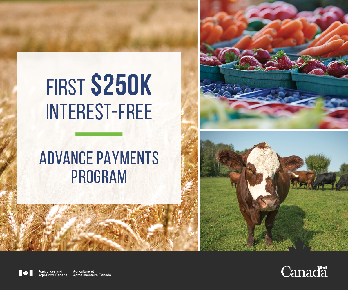 Last week, the Honourable Marie-Claude Bibeau announced that the interest-free portion of the Advance Payments Program will be increased from $100,000 to $250,000 for the 2022 and 2023 program years. More details below 👇 