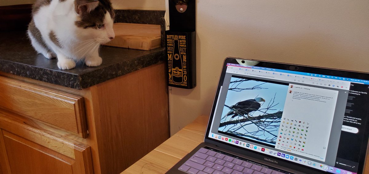 Laura Fong tweet media