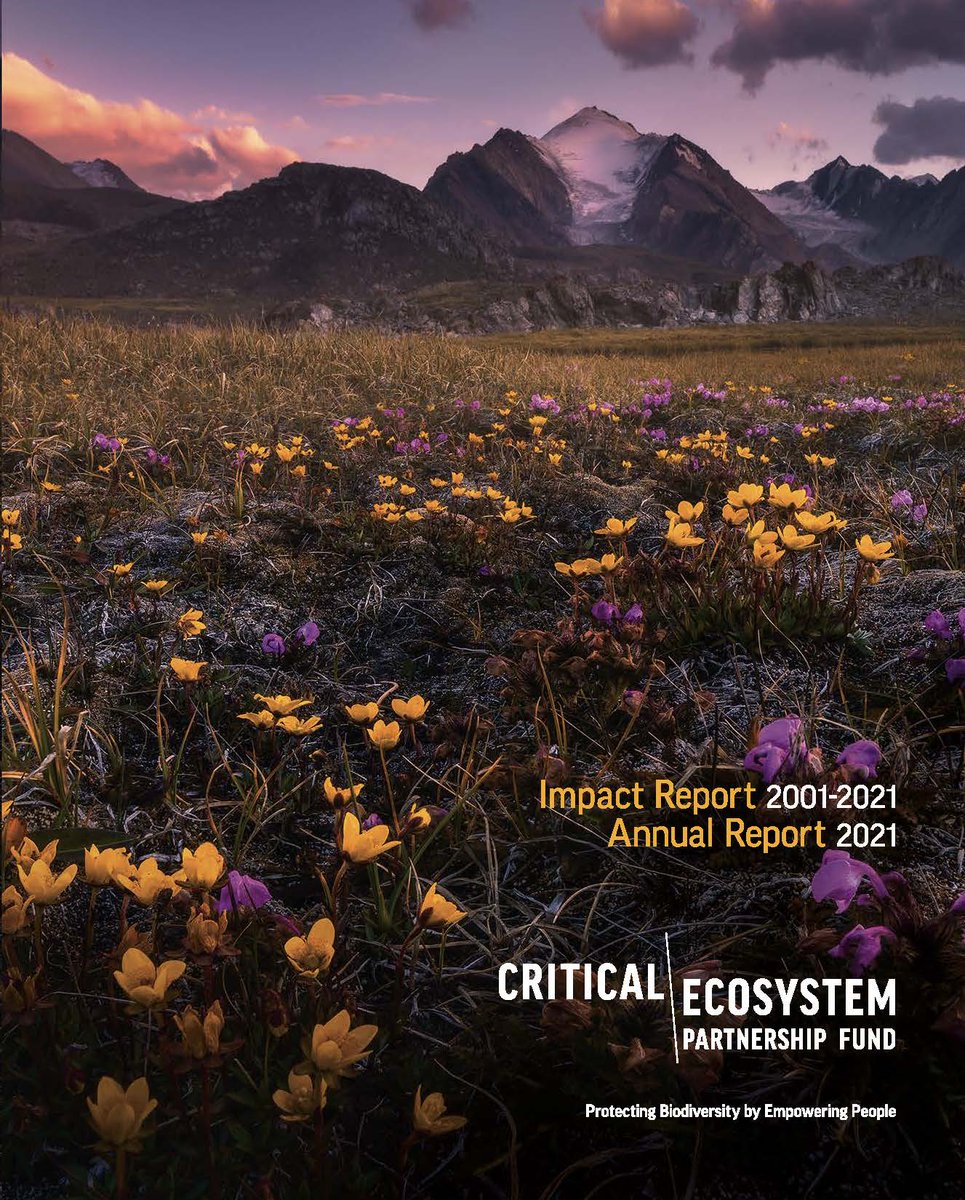 <a href="/CommunityCEPF/">CEPF</a>'s grantees and donors are amazing and we have proof: Check out the 2021 CEPF Impact and Annual Report. It includes stories and results data from 20 years of CEPF-funded projects in the world’s #biodiversity hotspots.

cepf.net/2021ImpactRepo…