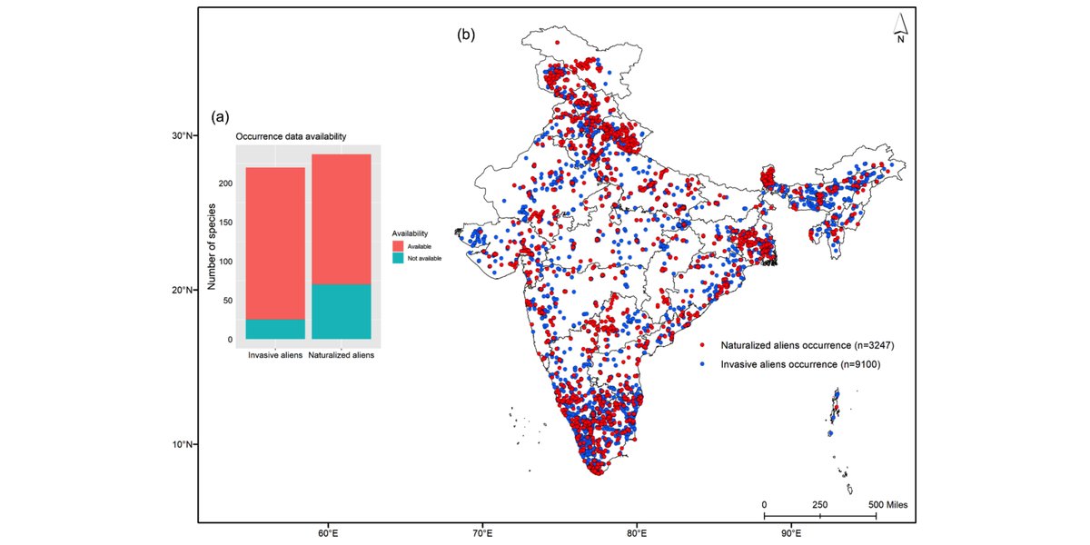 A new Data Paper in <a href="/ESAEcology/">Ecology</a>:

An occurrence data set for invasive and naturalized alien plants in India

doi.org/10.1002/ecy.37…

With #OpenData in <a href="/figshare/">Figshare</a>
&amp; <a href="/ZENODO_ORG/">Zenodo</a>

<a href="/achyutbanerjee/">Achyut Banerjee</a>
#InvasiveSpecies
#ILORA
#OccurrenceData
#AlienPlants
#OpenScience