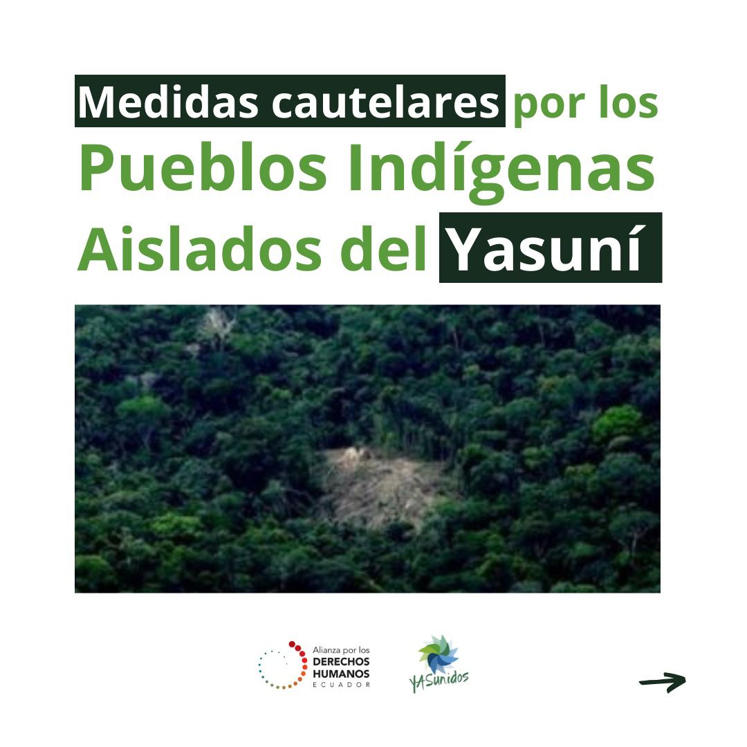 DDHH_Alianza's tweet photo. 📣HOY| Audiencia de medidas cautelares solicitadas por la  @DDHH_Alianza para proteger la vida de los Pueblos Indígenas Aislados del #Yasuní. #Amazonía 
@CJudicaturaEc @Ambiente_Ec
@DDHH_Ec
#NoMasExterminioEnElYasuní
@EFEnoticias @revistaPlanV
@infobaeamerica
¿Qué se solicita? ⬇️ https://t.co/4dLn1DPWlg