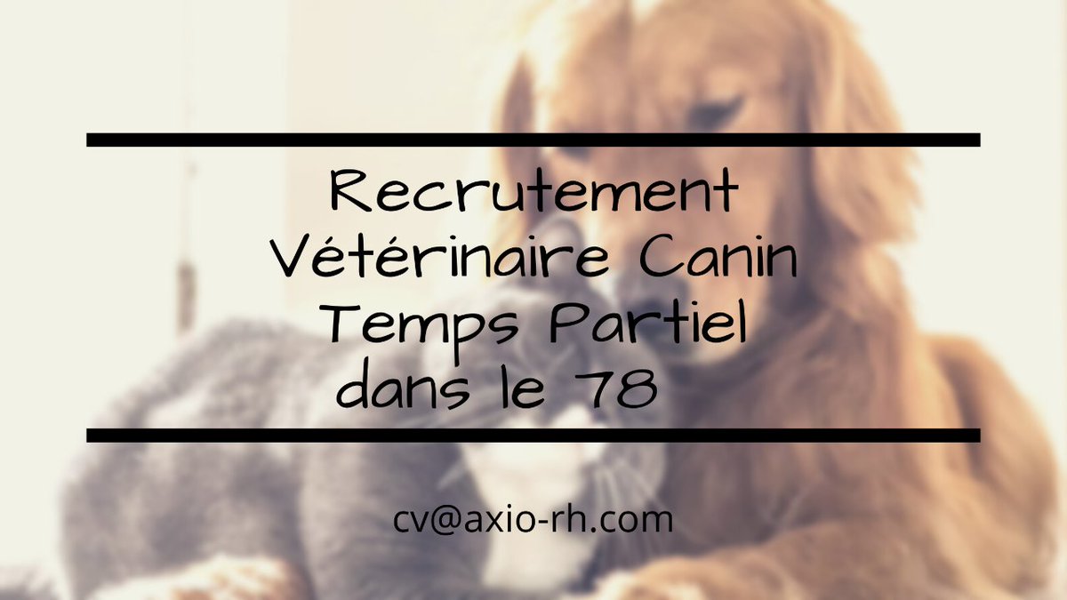 RhAxio's tweet image. #poste #opportunité Superbe clinique dans le 78, avec une équipe bienveillante recherche un #vétérinaire #canin à Temps Partiel ! 🐶

Envoyez nous vite votre candidature : cv@axio-rh.com