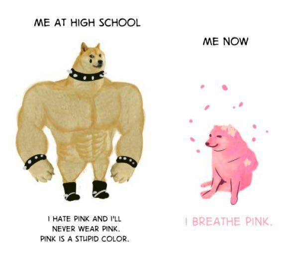 sherrinap's tweet photo. #pink #pinklife #colson #MGKLifeInPink #MGK #machinegunkelly #MachineGunKellysLifeInPink #MeganFox #pinkislife #ibreathepink https://t.co/kXTfFf1IPm