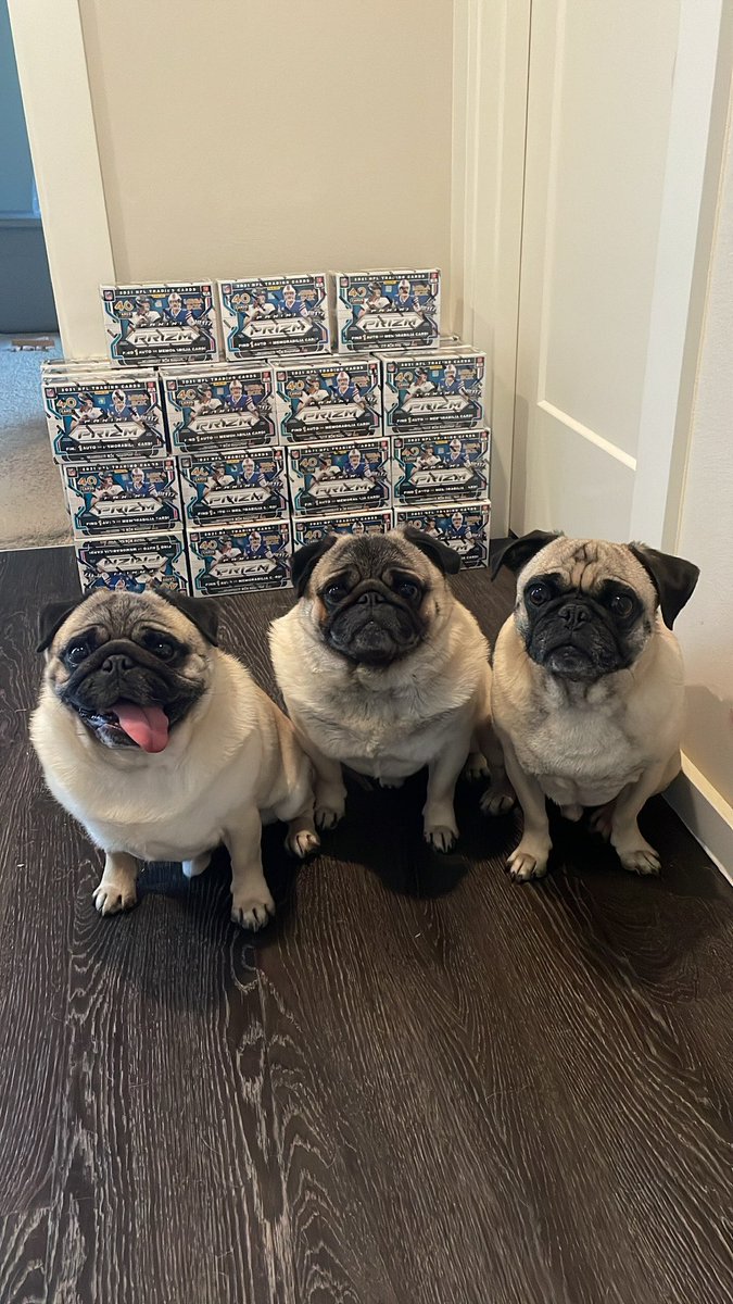 FNFcommunity_'s tweet photo. Some recent member success 🏈🐶 https://t.co/RSE170ANt6