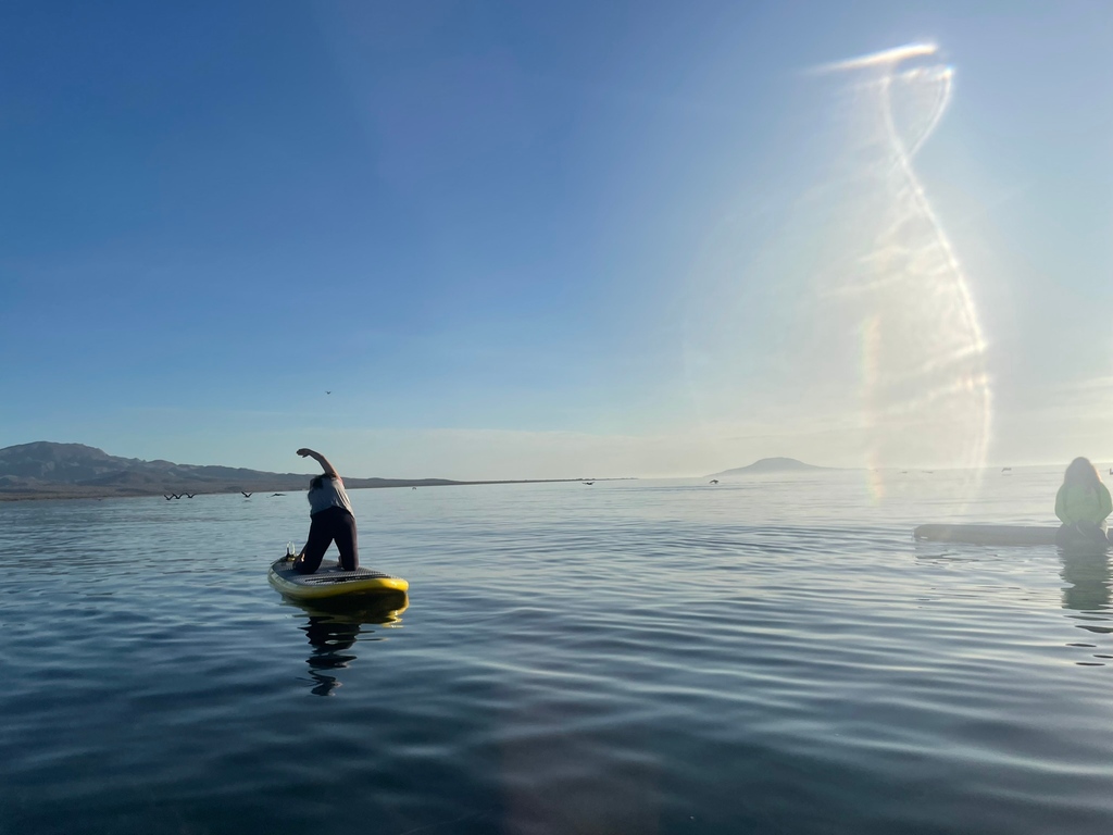 #SUP or #paddleboard #yoga is an amazing way to start the day. We watched the #sunrise while #stretching on the #SeaofCortez. @VisitBajaSur @LoretoBCSTourism @TravelBajaSur #Loreto #VisitBajaSur #travelwriter #luxurytravel #luxurytraveler #luxurylife #luxurylifestyle #exploremore