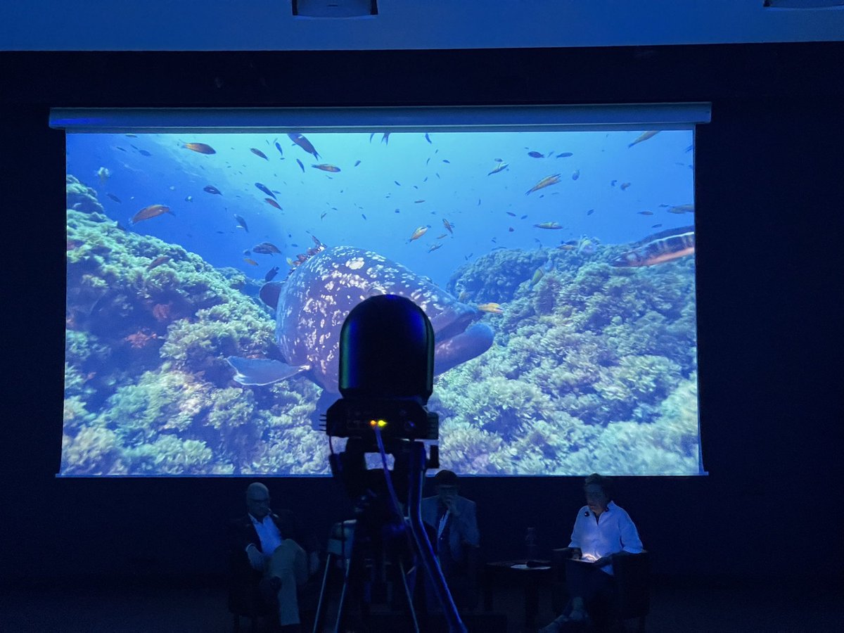 Brenda Anne O. tweet media