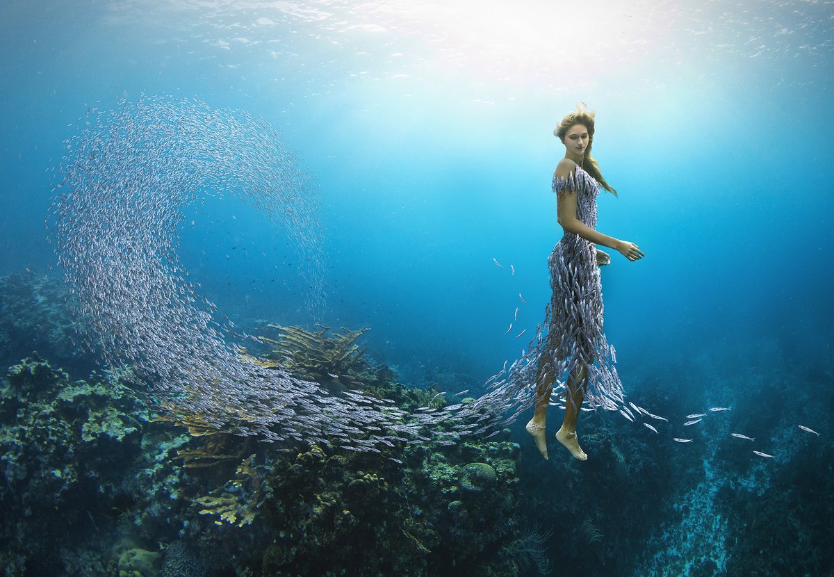 zenofineart's tweet photo. Highlight of the week!✨

Our artist in residence Miss Aniela will be a juror for the curated Photography NFT Auction by Saatchi Art. Find out more about the auction via Saatchi Art @saatchiart https://t.co/cw5Eo6Rm6Z