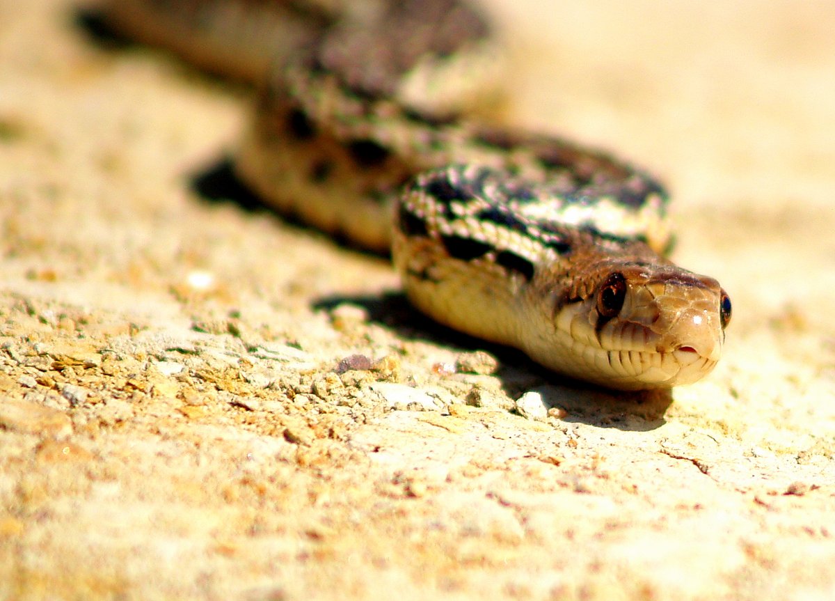 Mindful Agility tweet media