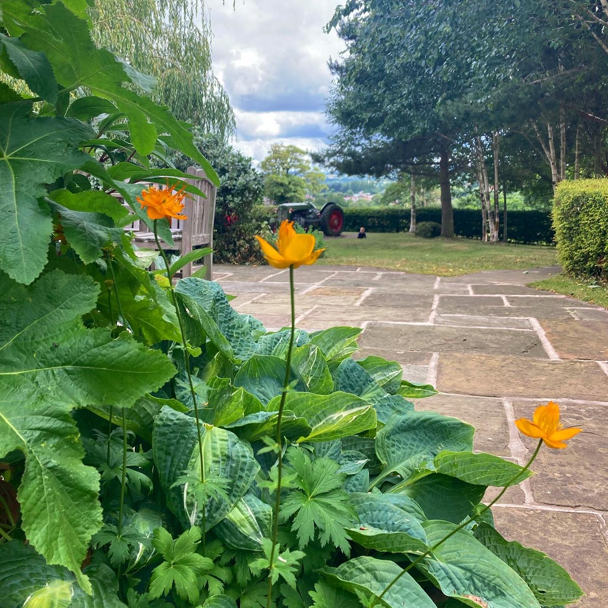 glasfrynpub's tweet image. Our garden is starting to bloom again! Roll on summer time 🍻 ☀️ 🌻

#glasfryn #bandplife #publife #brunningandprice #pubgarden