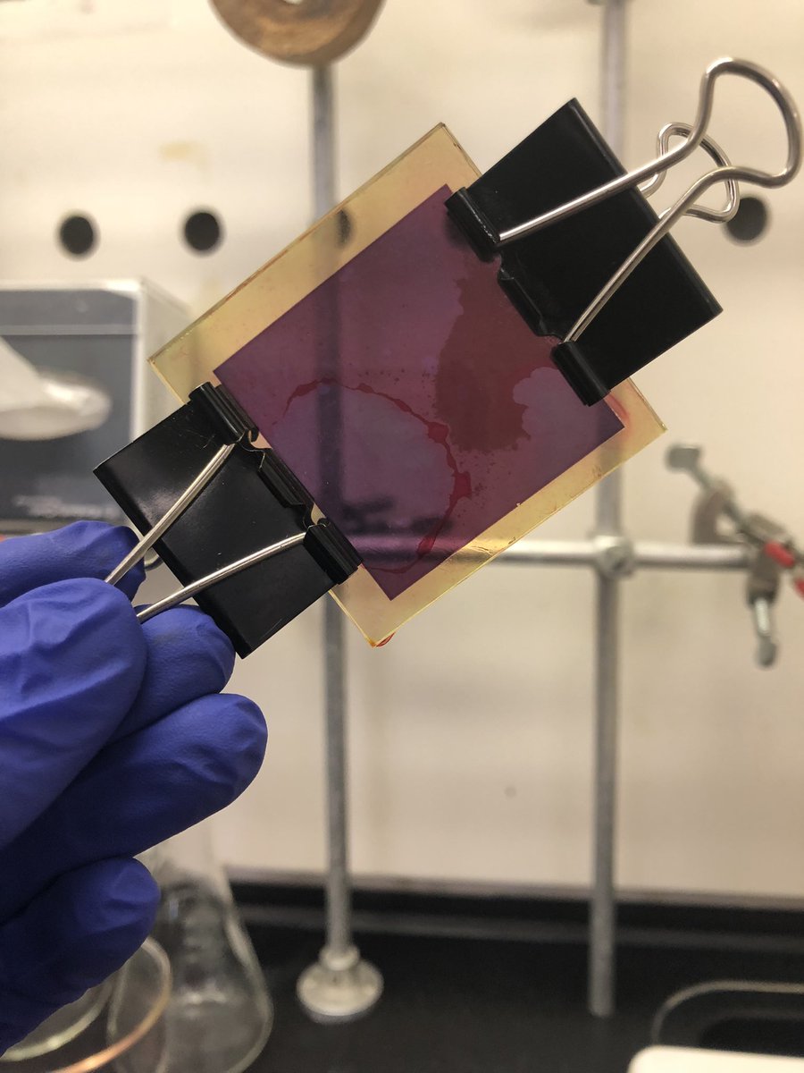 BeiroChem's tweet photo. having a blast at Virginia Tech’s workshops for science teachers! topics have included making watching paint dry exciting with physics, an intro to quantum computing, and making solar cells out of donuts and tea https://t.co/pI7XNILNmO