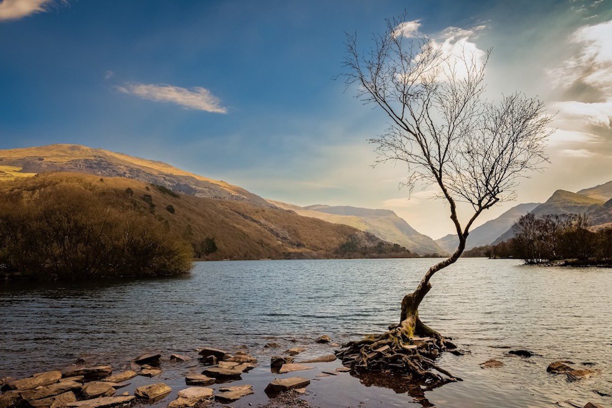 LifeIASC's tweet image. My latest blog is out now! 

"I am so excited to now be able to dream, plan and commit to a big event and will set my sights on something for 2023."

Read it here; lifeisasinecurve.com/2022/06/29/sup…