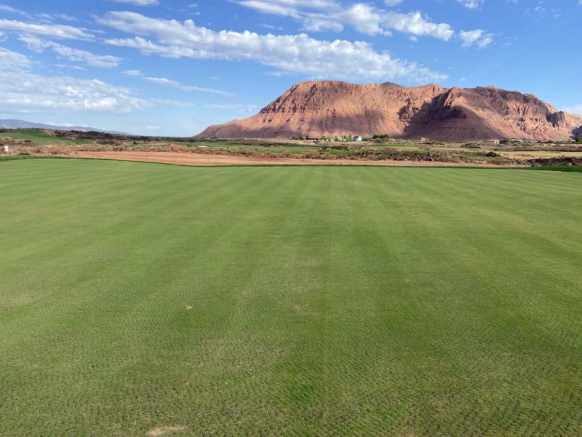 Practice Green 32 days old at #BlackDesertResort