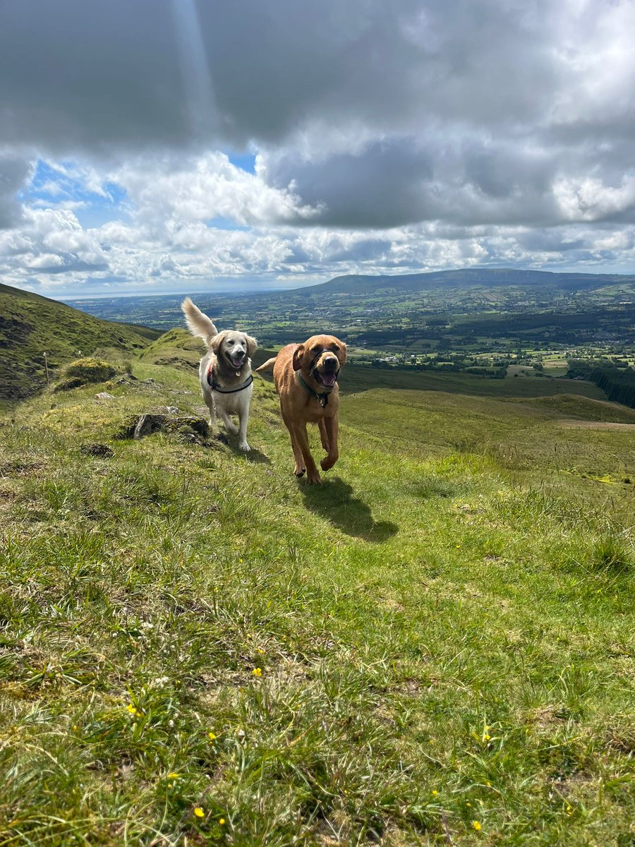 St. Pius X College tweet media