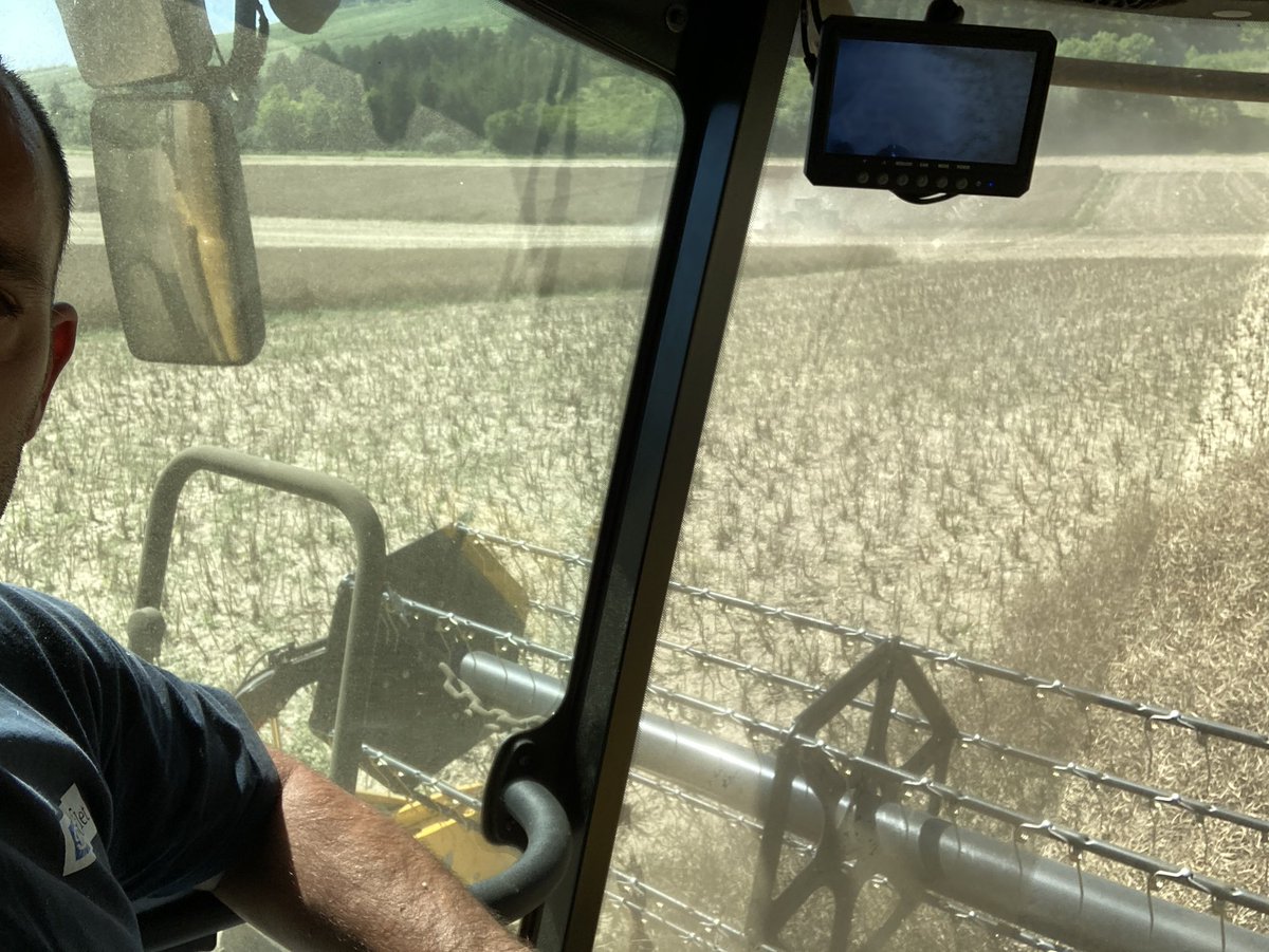 BONNIN1402's tweet photo. Un petit tour dans la CR @NewHollandAgFr pour détourer les essais variétés @Soufflet_Agri !
L’épreuve pour #KWS-Momont, @ragtseedsuk @Limagrain, #SouffletSeeds #Brevant #Euralis …
A très vite @OlivierCOSTE2 https://t.co/gQXiKrsQp0