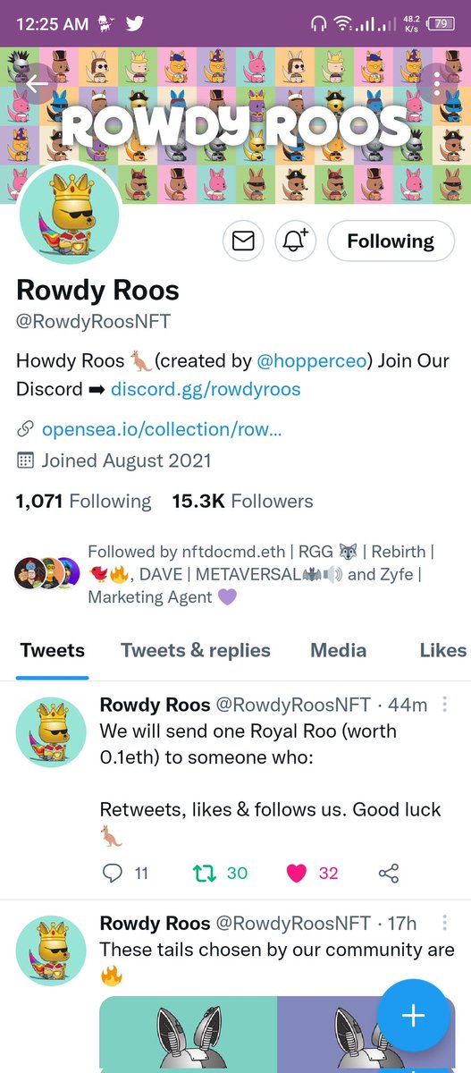 Jacob_A26's tweet photo. @RowdyRoosNFT https://t.co/bwfVhgBLZ7