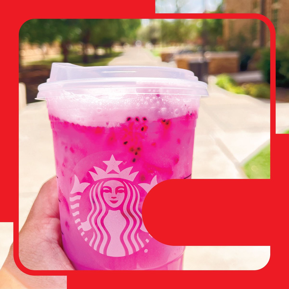 EatAtTexasTech's tweet photo. This Texas heat is no joke🥵 Grab a refresher from Starbucks at the Honors Hall to keep yourself cool on these hot summer days! #ttu26 #summer #raiderland #ttu https://t.co/WOBwT7dmnq