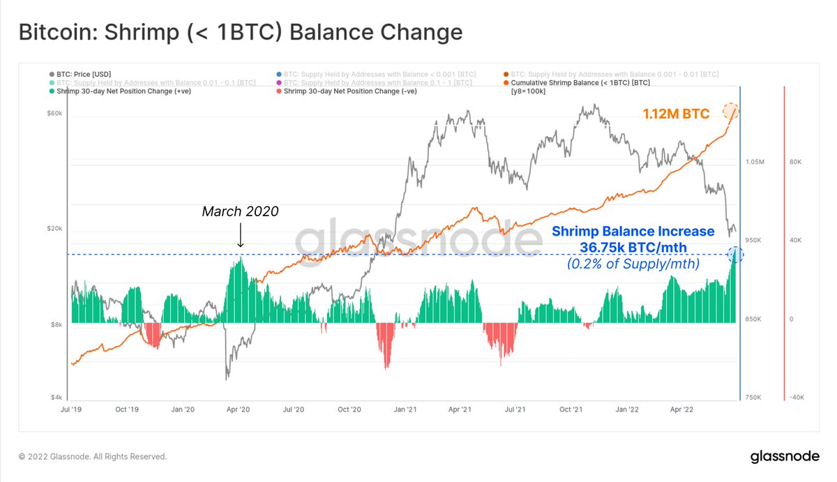 Small #Bitcoin holders with < 1 $BTC have been adding to their balance at  the most aggressive rate since March 2020. Shrimps are adding at 36.75k BTC/month  which is 0.2% of the