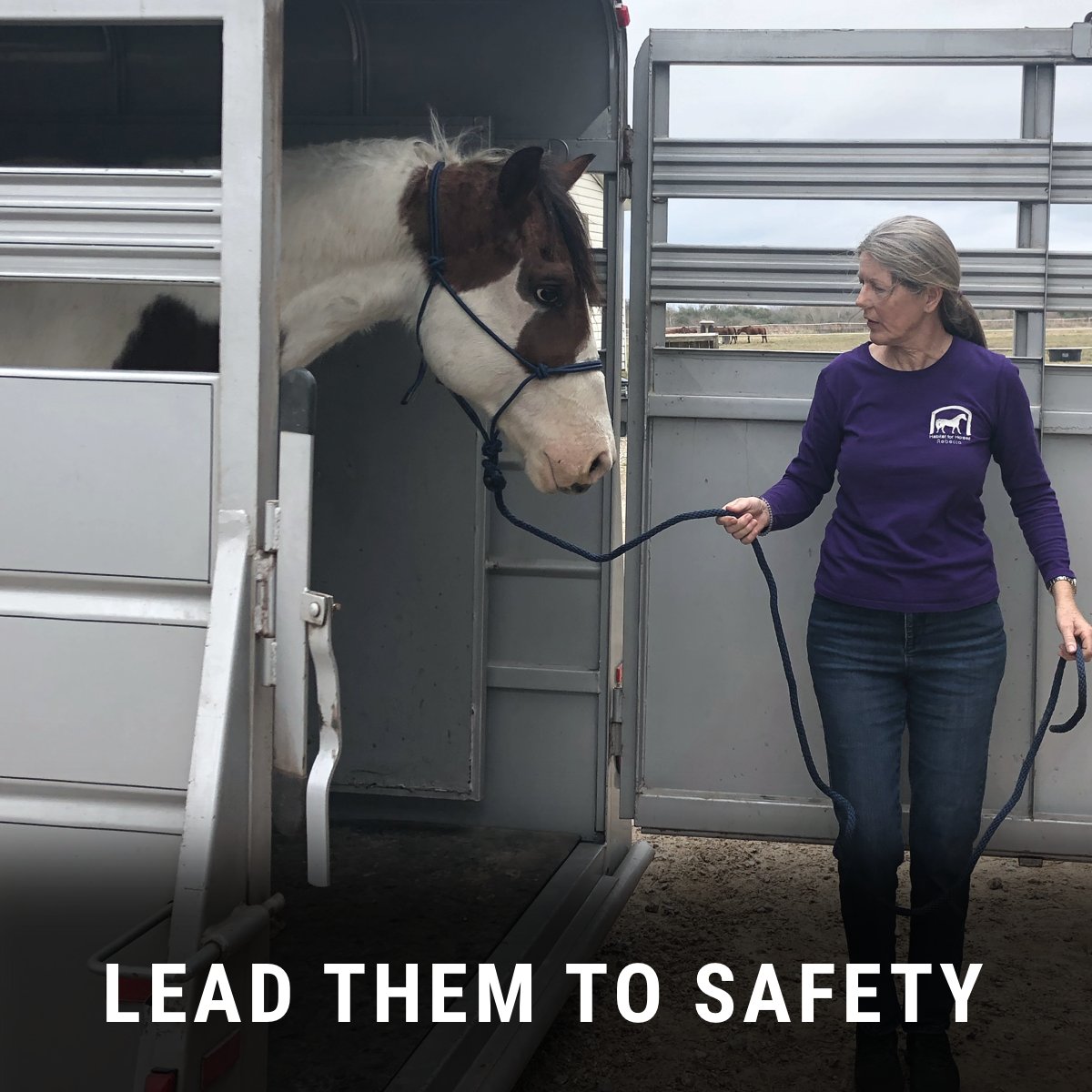 Habitat for Horses tweet media