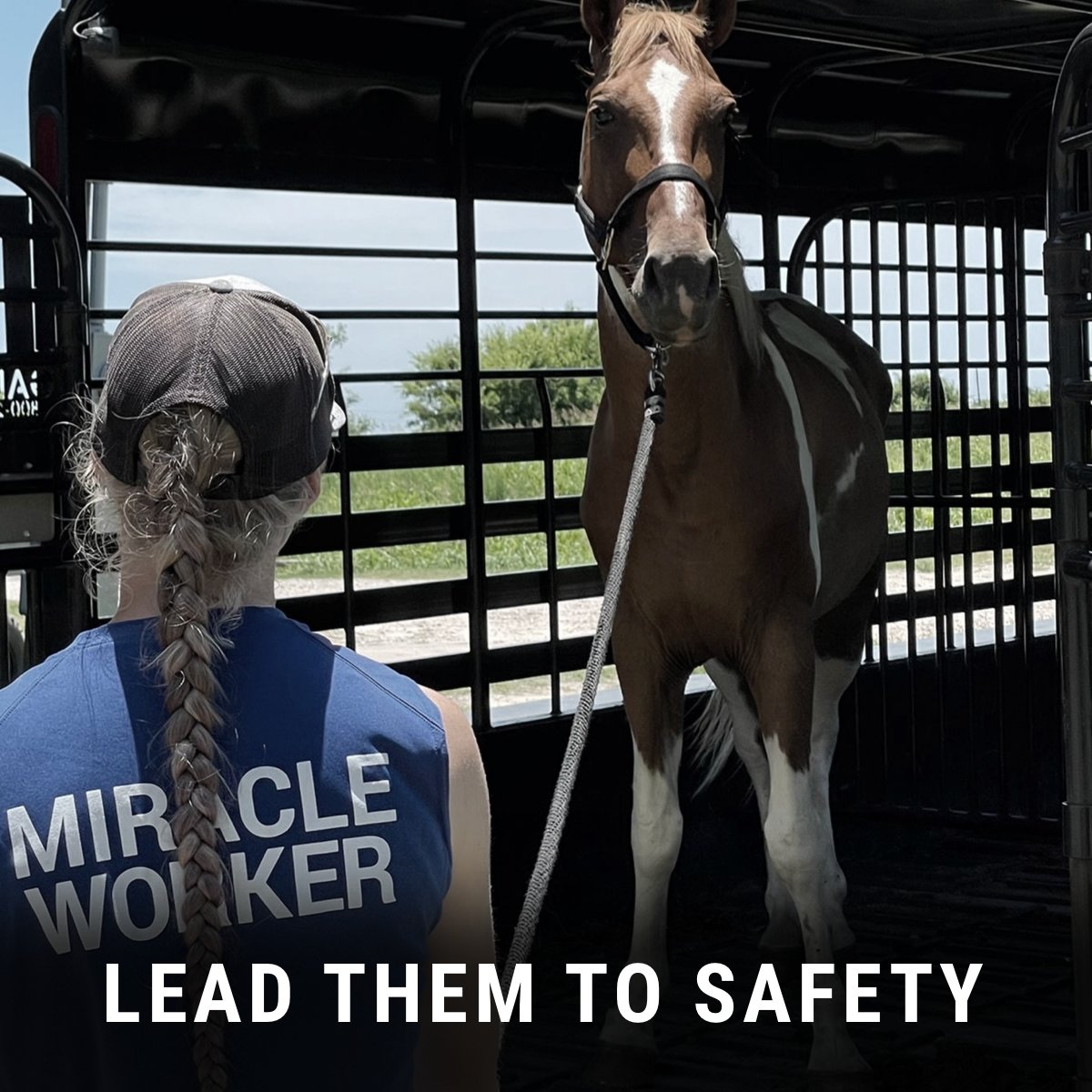 There’s no better relief than leading a horse to safety. With hurricane season upon us, make an urgent gift today to ensure we’re prepared to rescue every equine who needs us. bit.ly/HurricanePrep2…