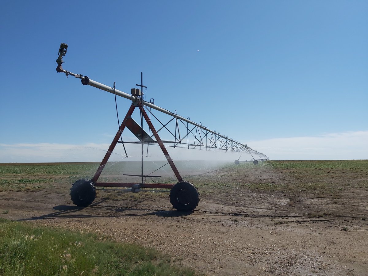 Goldendeefarms's tweet photo. It's old, but it moves and waters. 

Most importantly,  it's mine. 

#irrigation #SaskAg #Canola #Canada #RainMakesGrain #CdnAg #PivotIrrigation #Water #pallisertriangle https://t.co/goFuuC4tQL