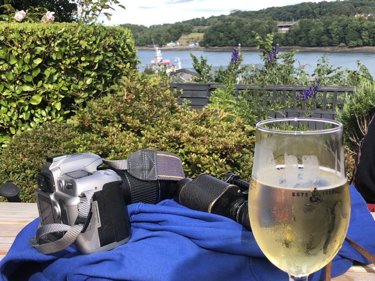 ChloeDurkinBSc's tweet photo. The Menai Strait is my favourite birdwatching location. Feel like I’m reliving my days as a @BangorUni student! 
Spotted Cormorants, Herons, Oystercatchers, plenty of gulls and @sos_bangor_uni very own Prince Madog #bangoralumni #oceansciences https://t.co/1jZLoSTRWX