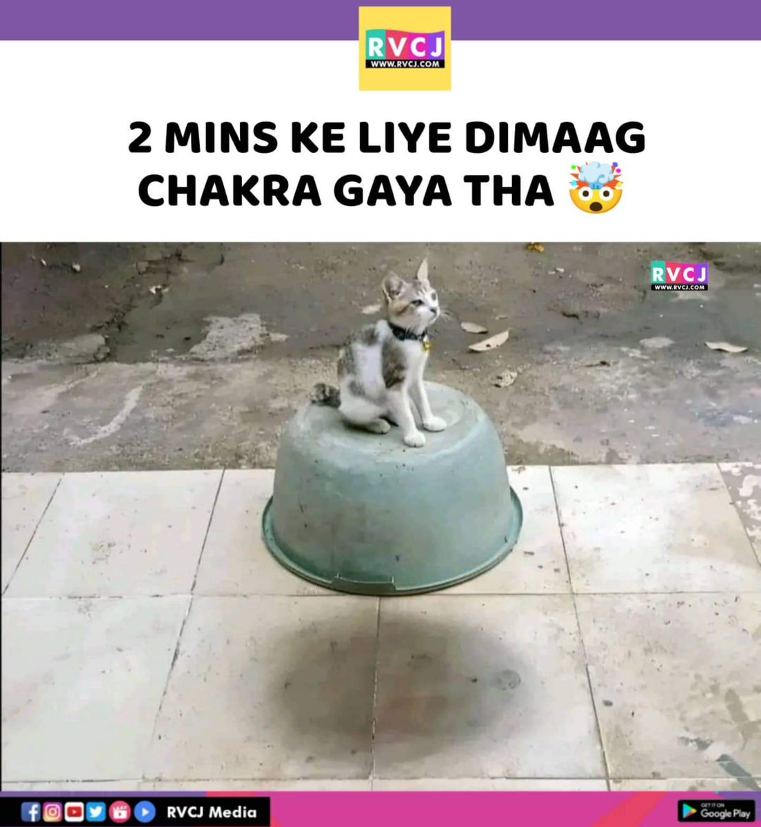 Dimag dull ho gaya..