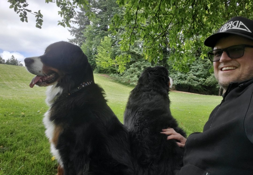 Chillin'... 😎

#bouviersbernois #bmd #dogsoftwitter #DogsofTwittter #bernesemountaindog #bernesemountaindoglovers