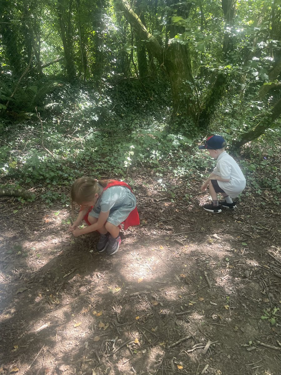 penlrec's tweet photo. π We love nature π #ppsrec #ppsout #ppsllc #ppshw https://t.co/QVPIlsHGCx