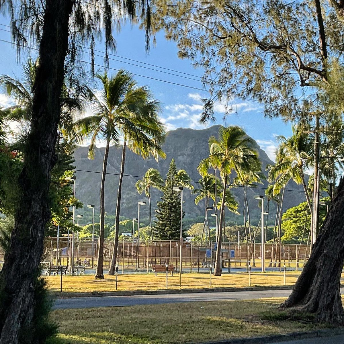 hawaii_isla808's tweet photo. Good morning sunrise! It is a beautiful sunny ☀️ Diamond Head crater in Hawaii.📸🌟❤️☕️ #hawaii #waikiki #ohu #diamondheadcrater #diamondhead https://t.co/apo69OzVBz