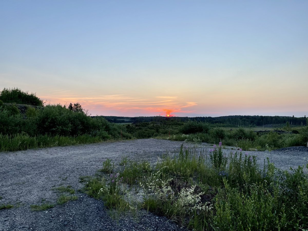juzzuf's tweet image. Since “Tour de HeVa” was a great success last week, I went for a ride again. This time I spotted a deer, dozens of rabbits, three planes landing on 04L and a beautiful sunset. Cycling is so much fun!

#cycling #FocusBikes