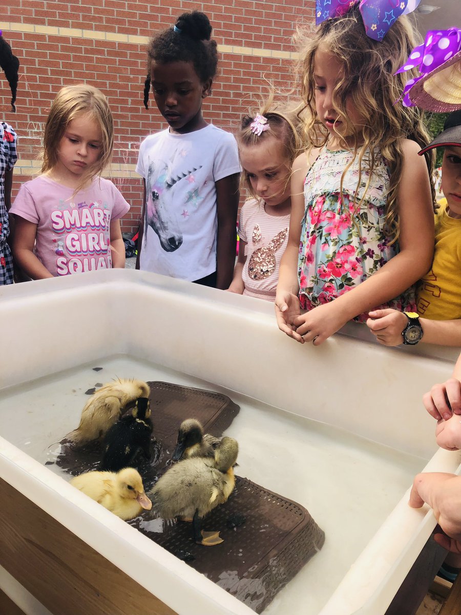 Miss E Adami - (she/her/elle) tweet media