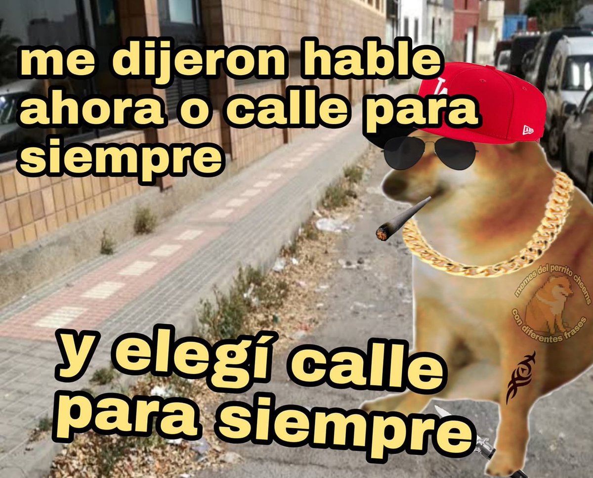 memefeos's tweet photo. https://t.co/bkvfUkziGU