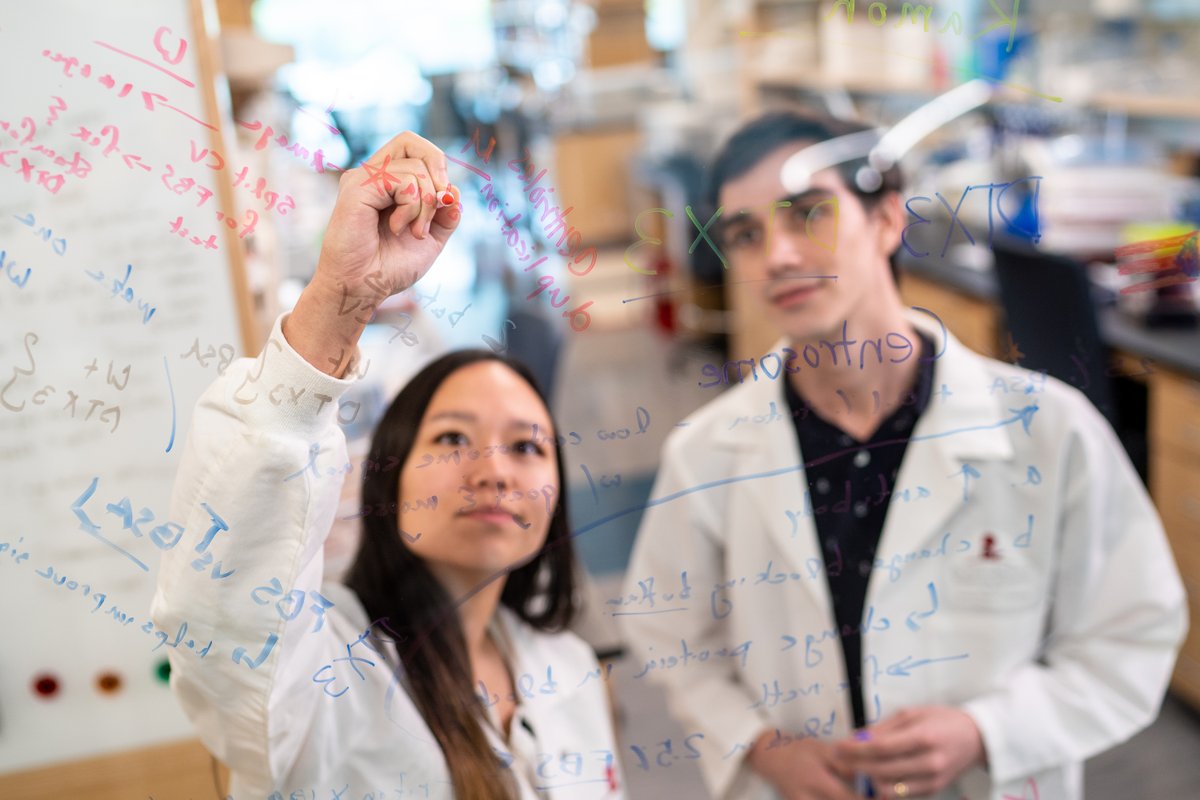 St. Jude is built on a strong foundation of collaborative interactions spanning many disciplines, including biomedical sciences, global child health and clinical investigations. Learn more. ow.ly/FUfa50IPeER