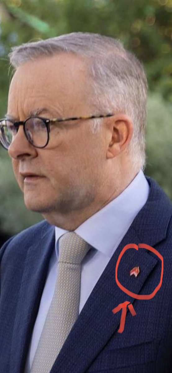 Albo’s gone full commo! 🇨🇳