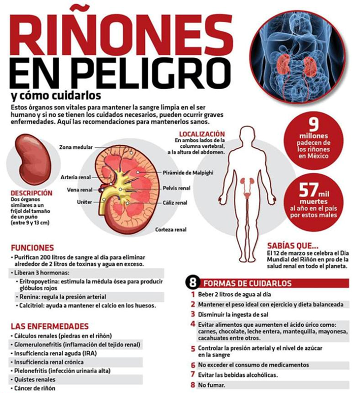 InsuficienciaR's tweet photo. Nuestros riñones son extremadamente importantes y hay diversos factores que los ponen en riesgo.
Para mas informes acerca de opciones de tratamiento llámanos a los teléfonos 55-4320-3971 o 55-4322-8859
https://t.co/FVSooBVFCf https://t.co/q5Hod5kL5k