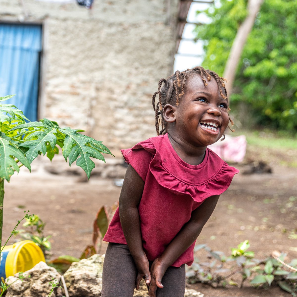 furniturerow's tweet photo. What's got 3-year-old Schamaelle grinning from ear to ear? π§‘ Her family in Haiti has been able to save money and invest in their home garden thanks to @WorldVisionUSA food vouchers. Learn more at https://t.co/FvrxtdfAku.
#worldvisionwednesday #givingpartner https://t.co/IchVilcBZW