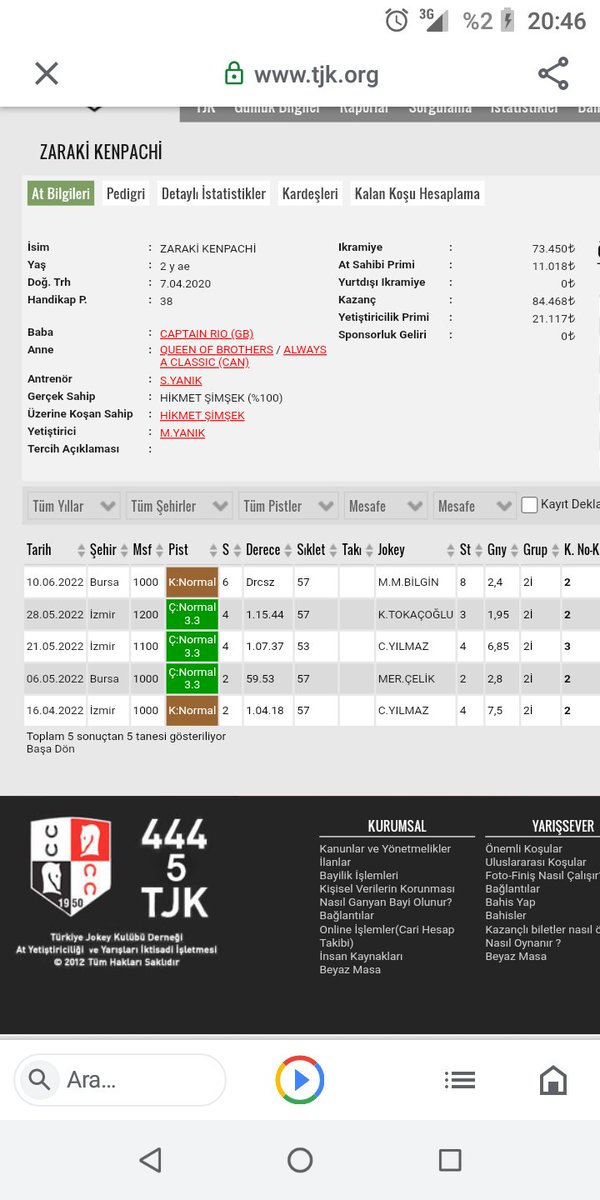 Koşar vaziyette 2 yaşlı ingiliz tayımiz satılıktır fiyatı 350000 lira ilgilenenler özelden mesaj atsın