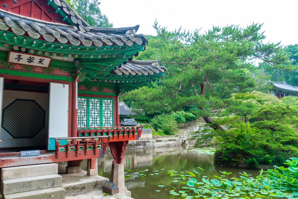 부용지는 규장각이 있는 곳이죠!
제가 방문 했을 때는 연꽃이 없었지만 피는 날에는 정말 아름다울거 같다는 생각이 드네요!