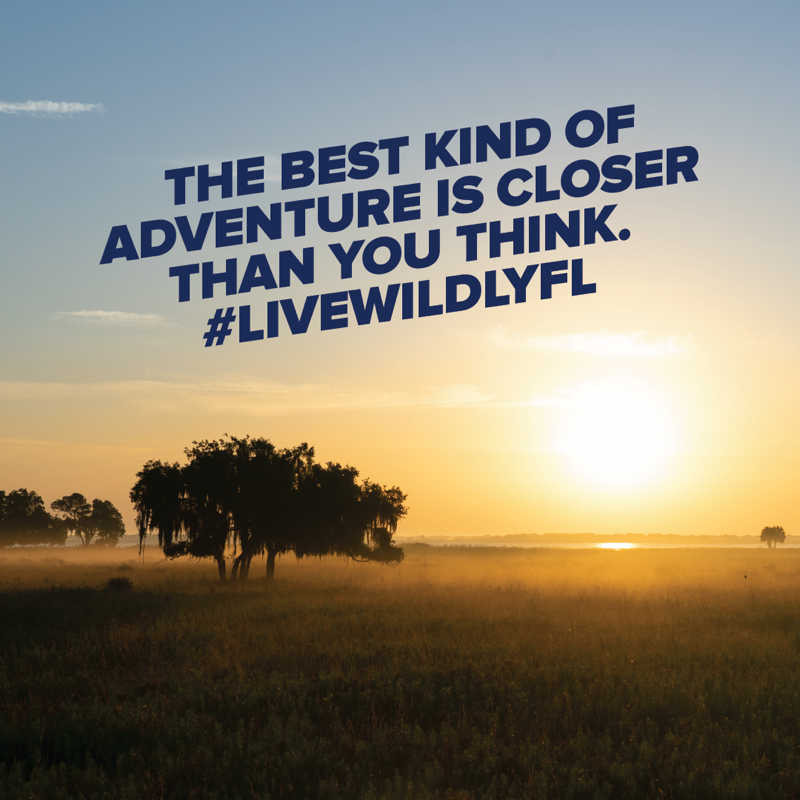 livewildlyfl's tweet photo. The Florida Wildlife Corridor is in your backyard. Take some time to explore it. Follow us to learn more.