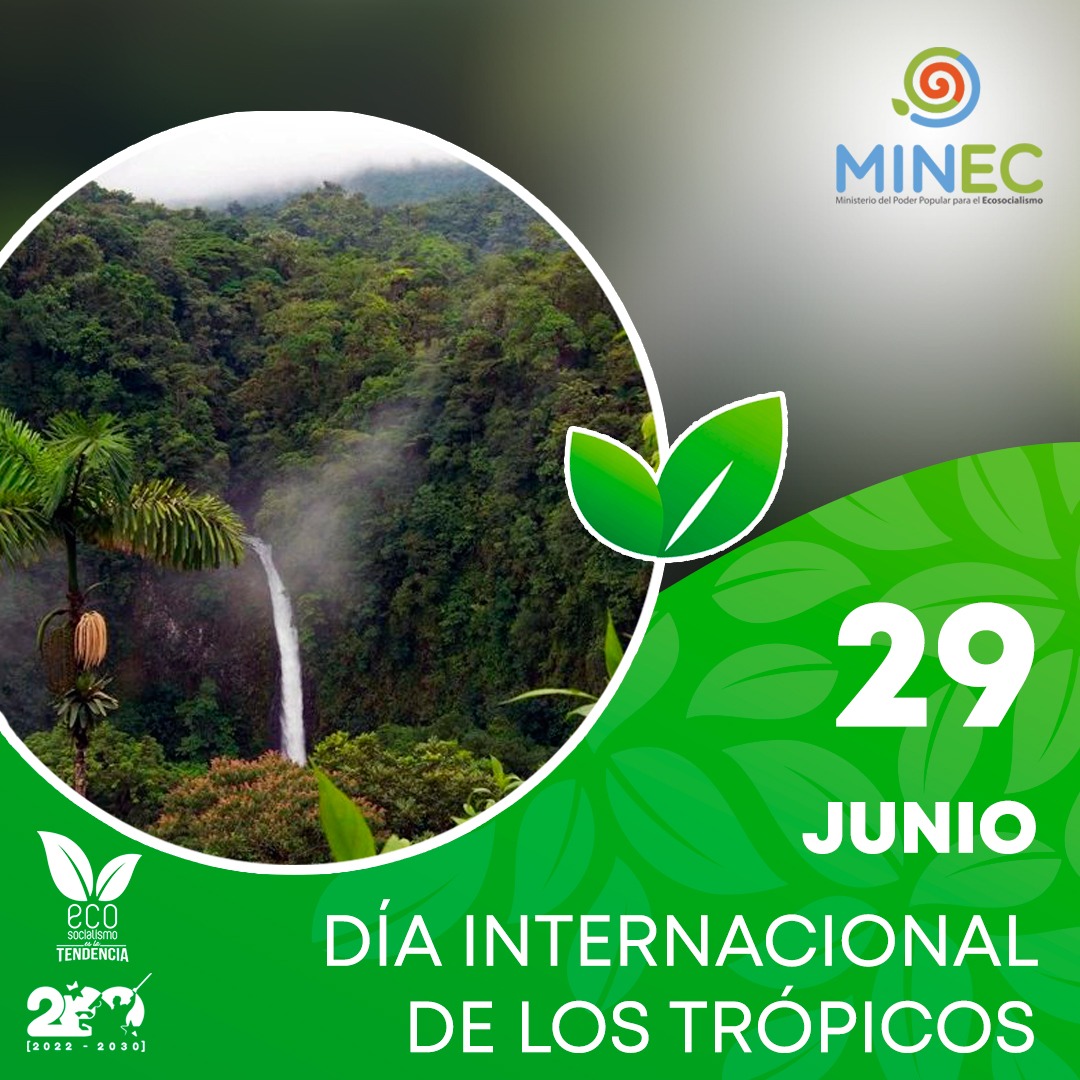 MinecOficial tweet media