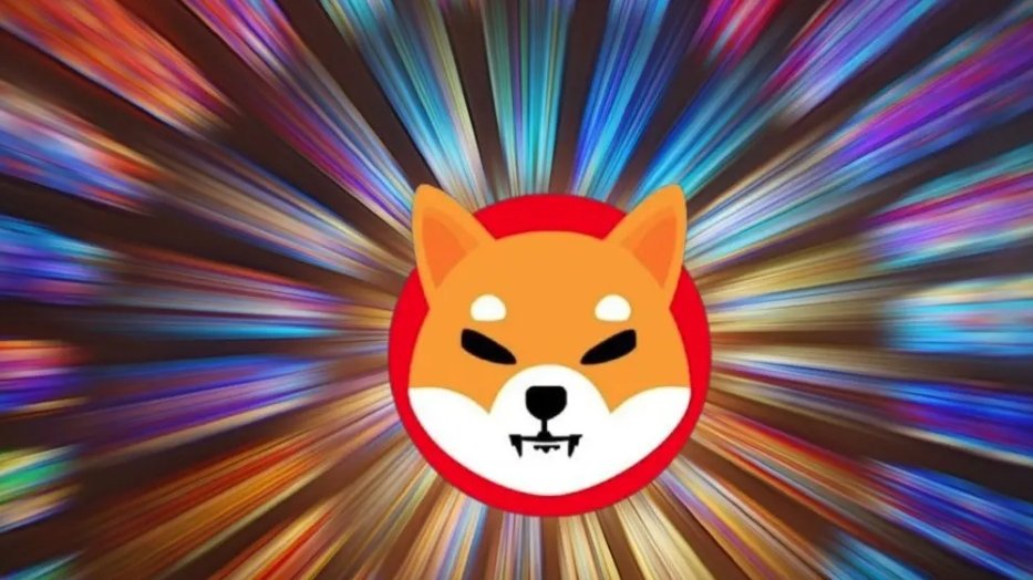 🔥Shiba Inu bu ay aşağı yönlü bir sarmalda ancak bu, yatırımcıların token biriktirmesini engellemiyor. #SHIB için alım satım faaliyeti Coinbase'de yılın en yüksek seviyelerine ulaştı, çünkü yatırımcıların %89'u onu 'satın al'a yerleştirirken, sadece %11'i 'sat'ta tuttu.