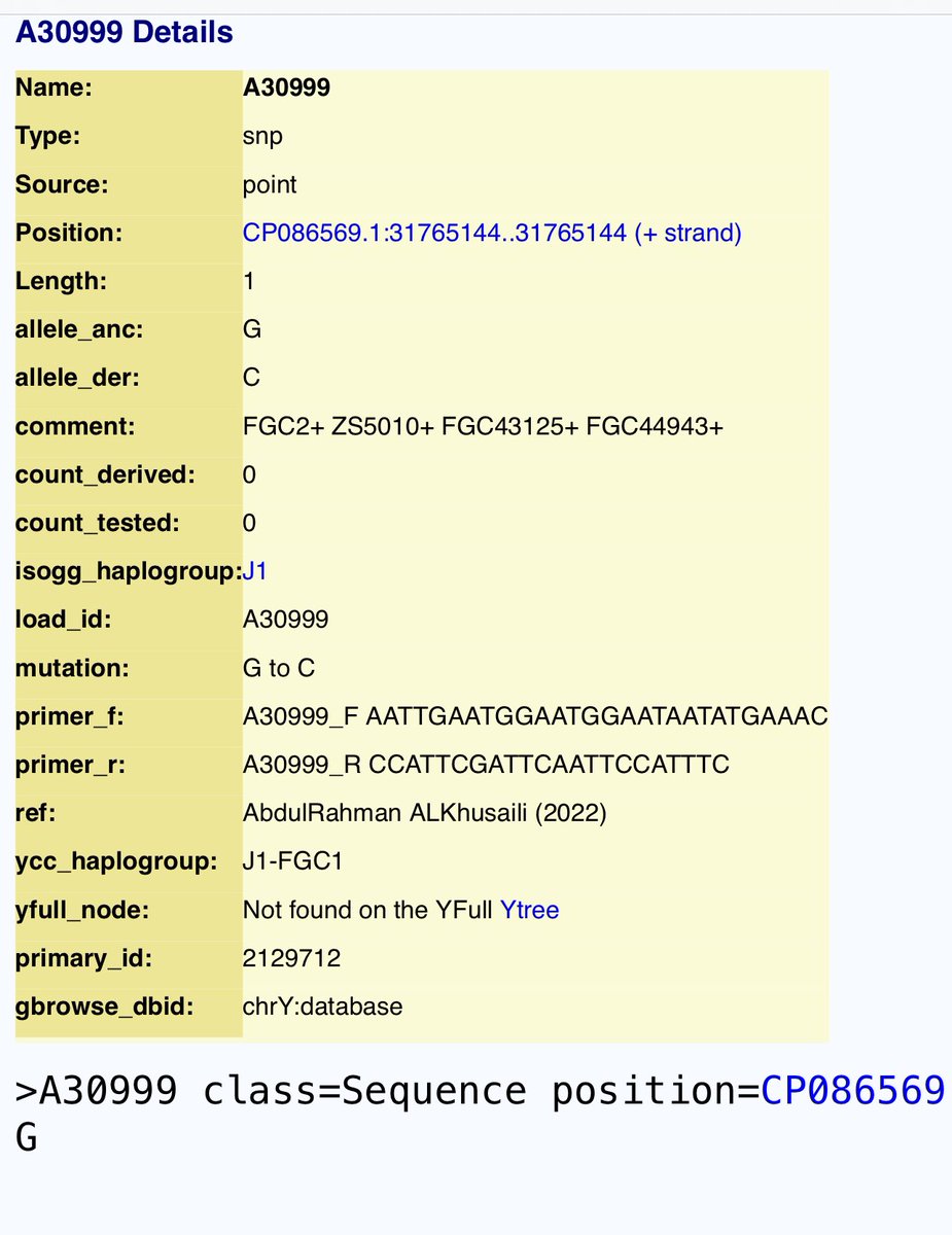 q8_kanon's tweet photo. ولله الحمد  تم اضافة التحورين الخاصين بـ  منصور بن عكرمة A30999&amp;A31721 في مشجرة Ytree الصينية 
 الذي جمع سابقا  اصرح ابناء منصور وهم  (هوازن FGC2)  و (سليم A30855) و بذلك انعزلوا عن fgc7393, ليصبح تحت fgc1 فقط تحورين . https://t.co/6d8CUDn5cT