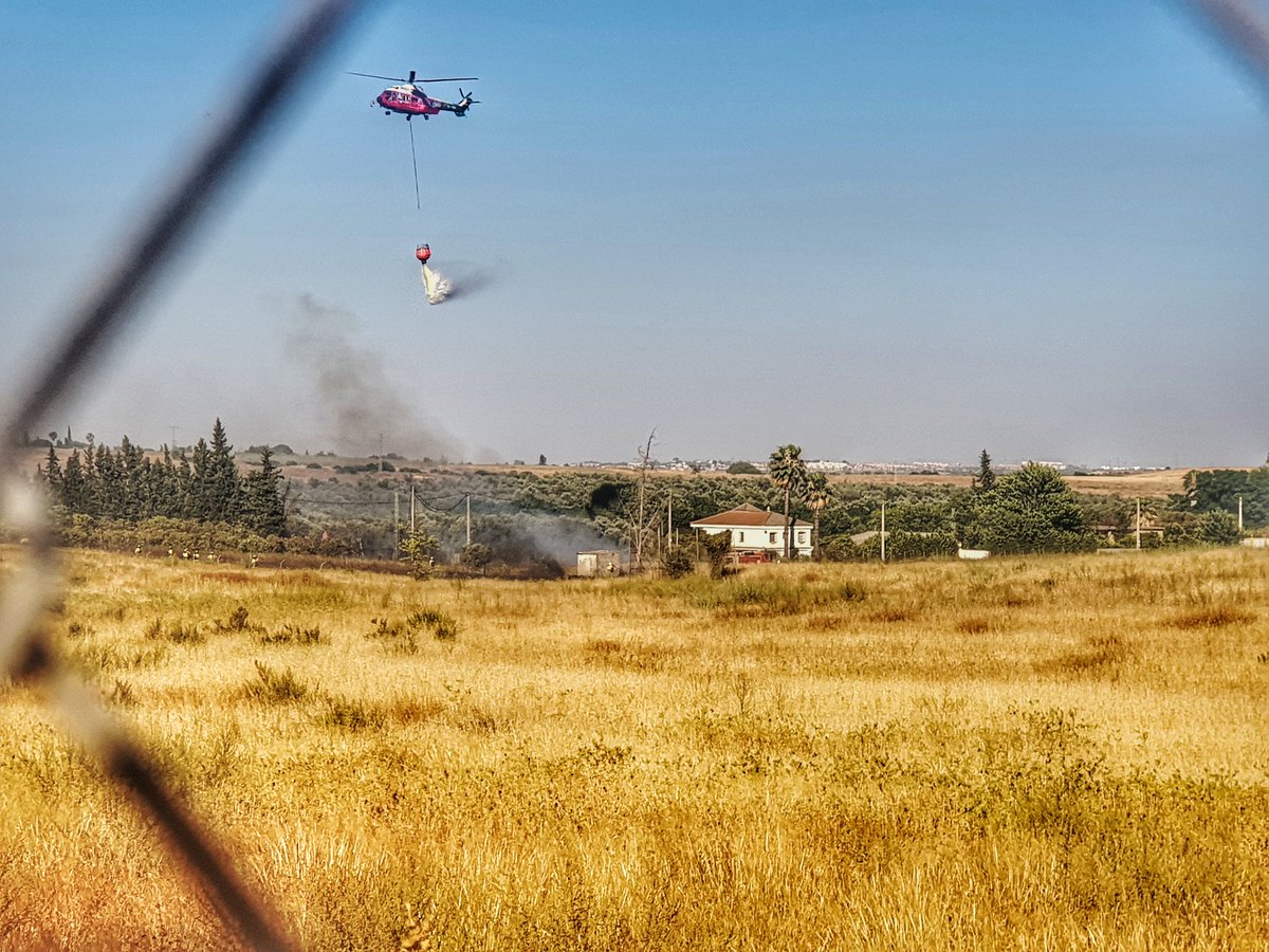 Declarado un #Incendio entre Mairena del Aljarafe y Palomares, el cual ha obligado al desalojo de una decena de viviendas.

En estos momentos hay varias dotaciones de Bomberos trabajando en la zona.

Pedimos la máxima precaución a la población.