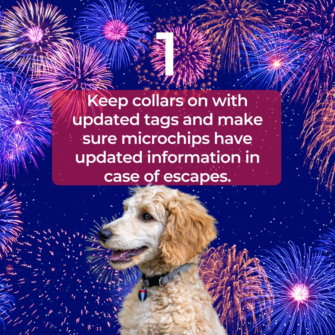 DogPainRelief1's tweet photo. The 4th of July is a holiday celebrated nationwide with BBQs, parties, and fireworks. But it's also a time for dogs to escape, be scared and get into things they shouldn't. Scroll through some of our tips and learn more at https://t.co/5JhcmOj5KN! #4thofJuly 🇺🇸 https://t.co/MGIVHk81p7