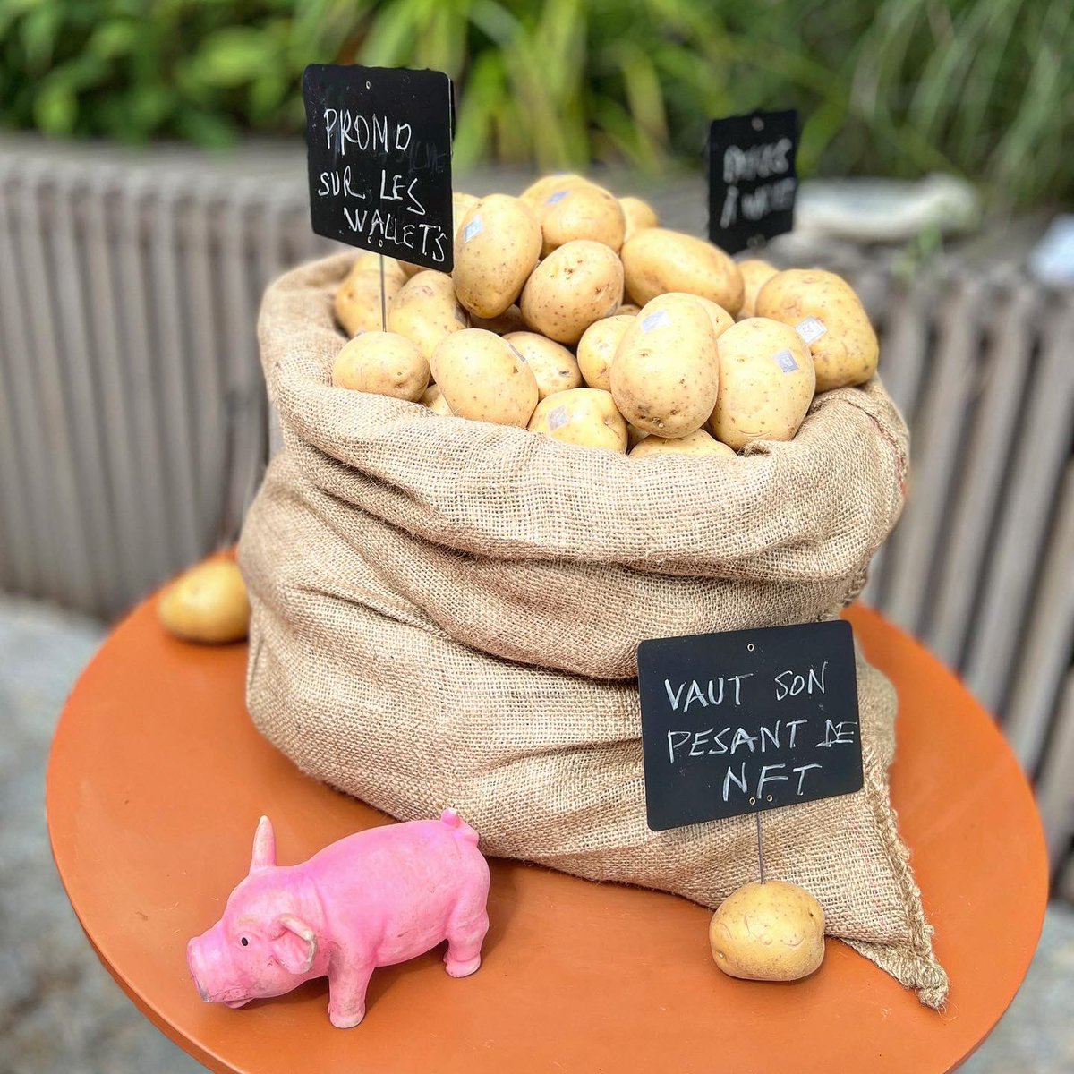 Thu Trinh Bouvier tweet media